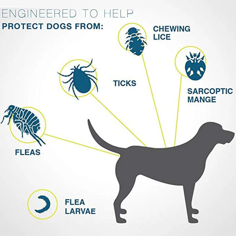 Colar SafePet Anti Pulgas e Carrapatos